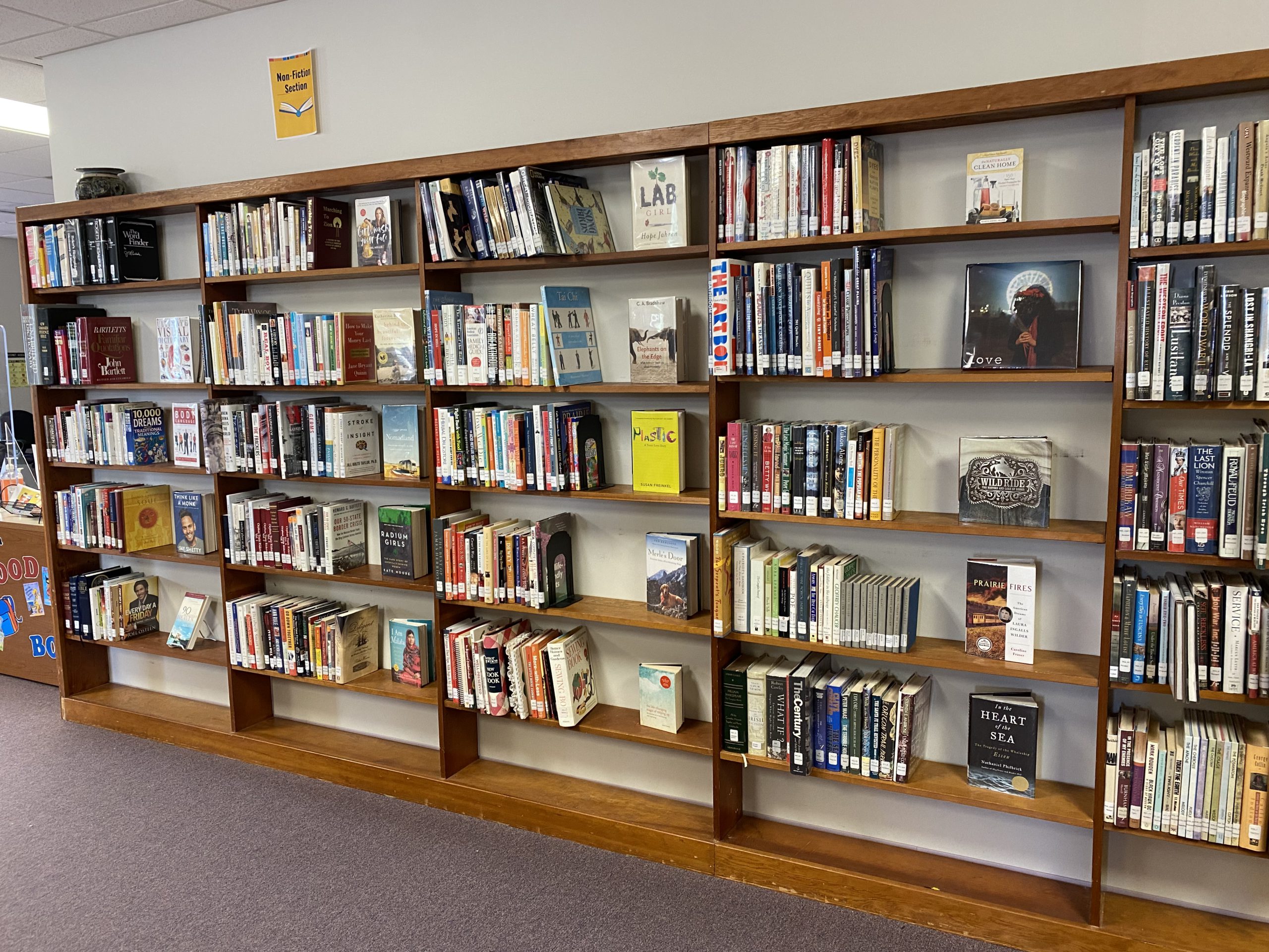 Madison public library shelves after weeding